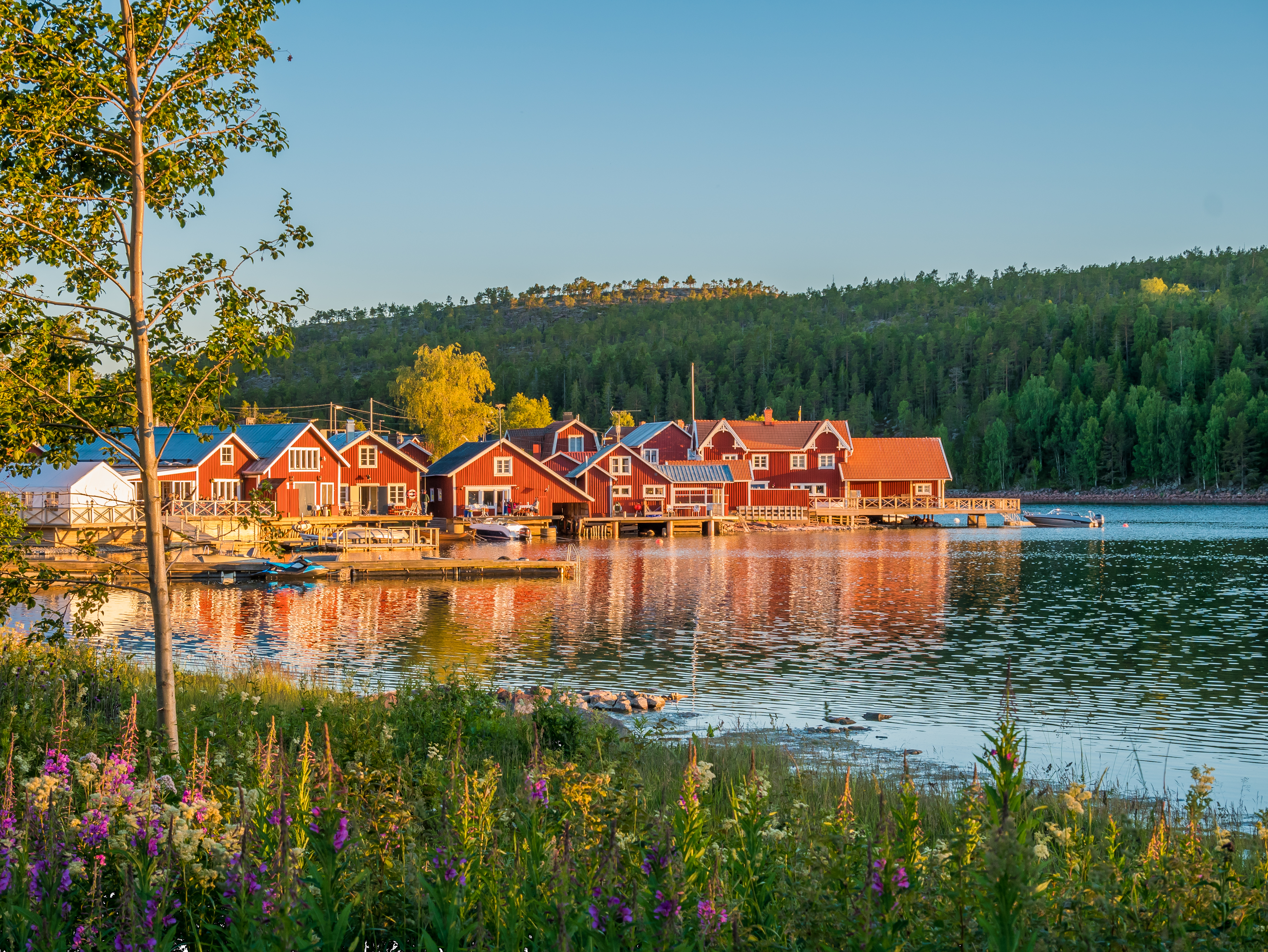 Svensk skærgård 3